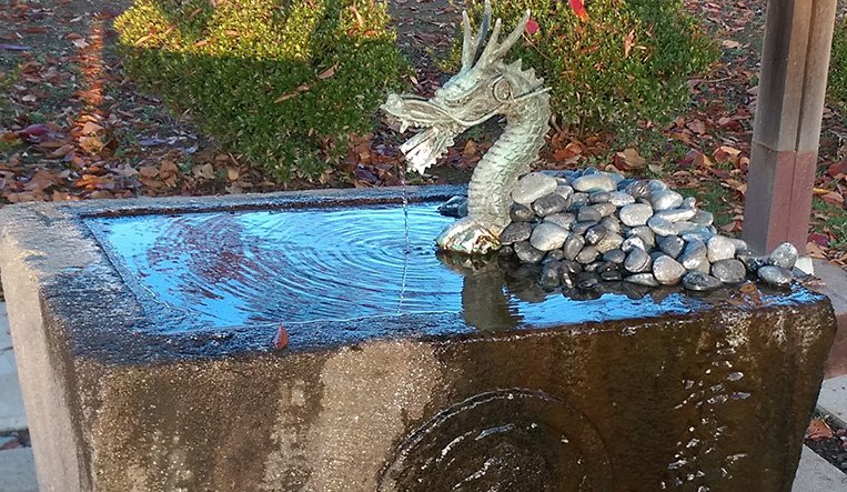 占い師聖 和恋のお気に入り写真2